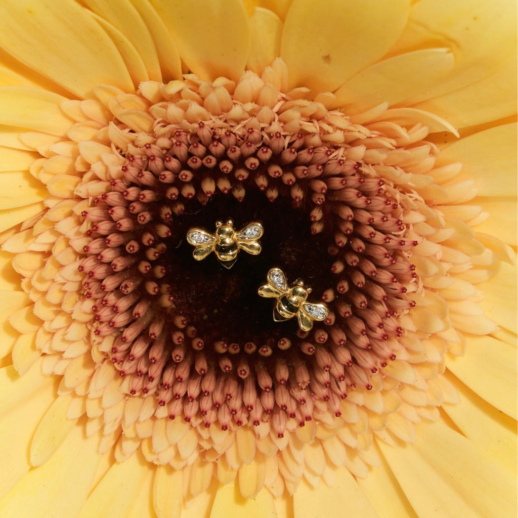 Bee Mine Piercing